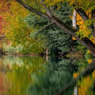 Fall colored trees reflect over the water.